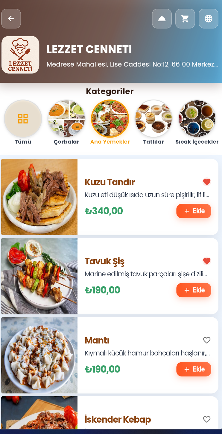 Mobil Menü Görünümü